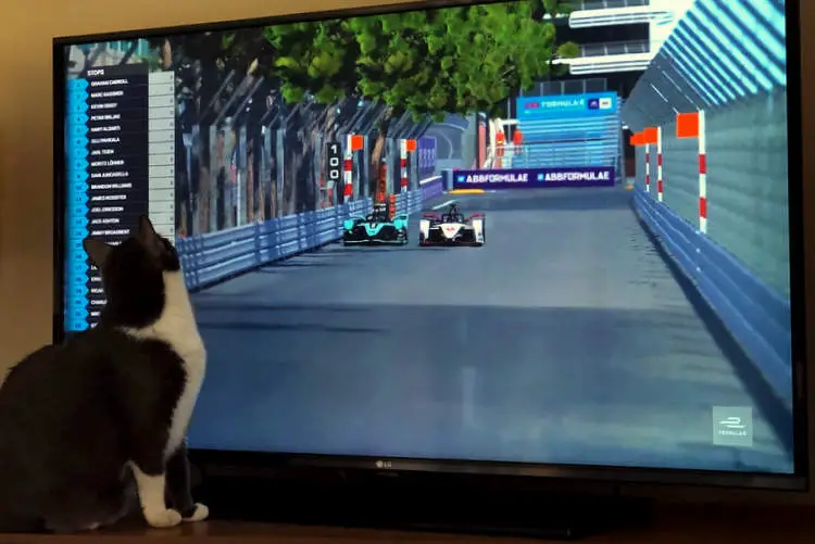 Virtual Formula E test race at Monaco proves true to life